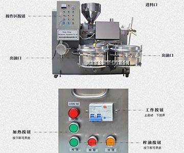 花生榨油机结构
