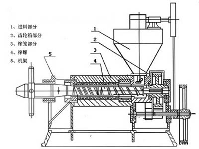 玉米榨油机结构