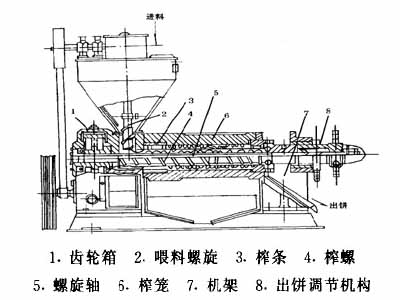 小型榨油机结构